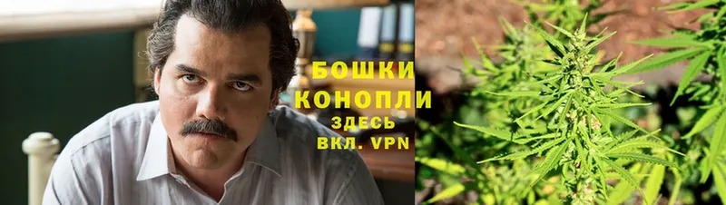 Конопля Bruce Banner  omg сайт  Тольятти  где найти  